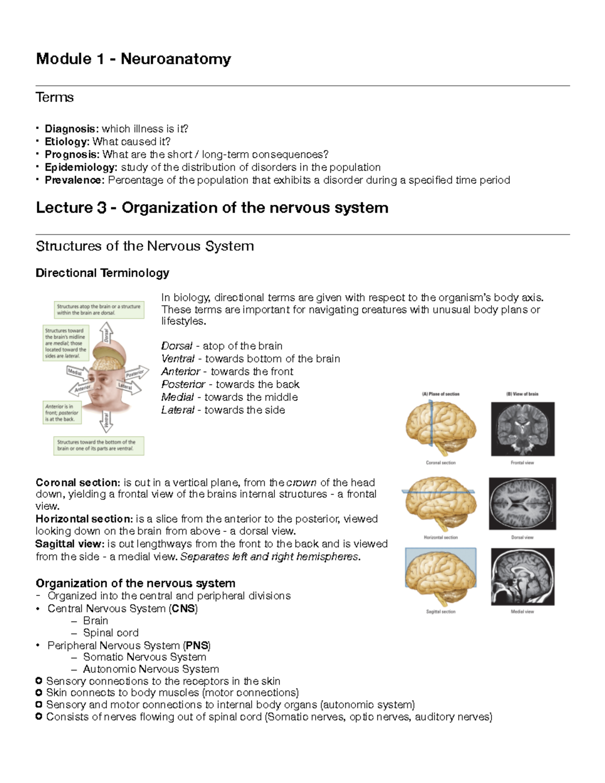 Neuroscience1202 (Module 1) - Lecture 3-7 - Week 1-3 - W/ Kim Hellemans ...