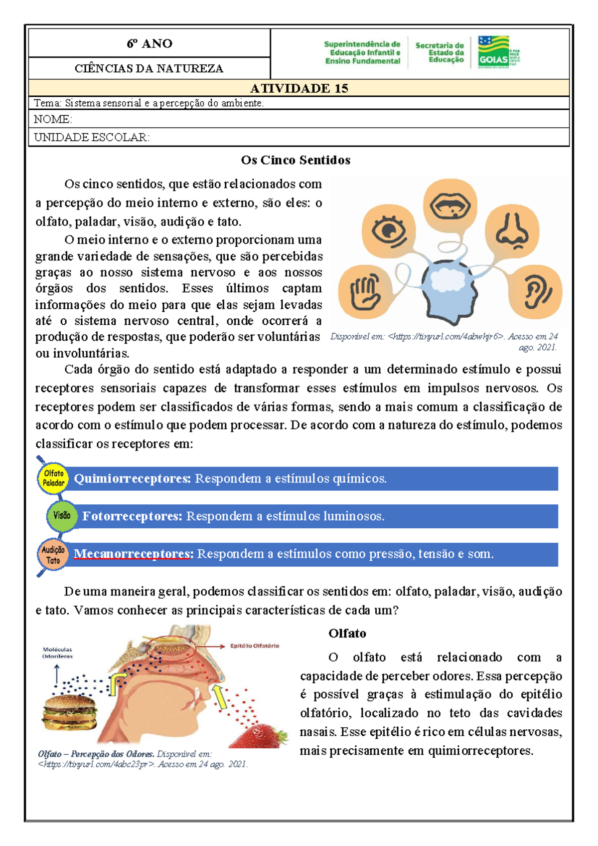 Atividade 15 6o ano CIE Sistema Sensorial - Os Cinco Sentidos Os cinco ...