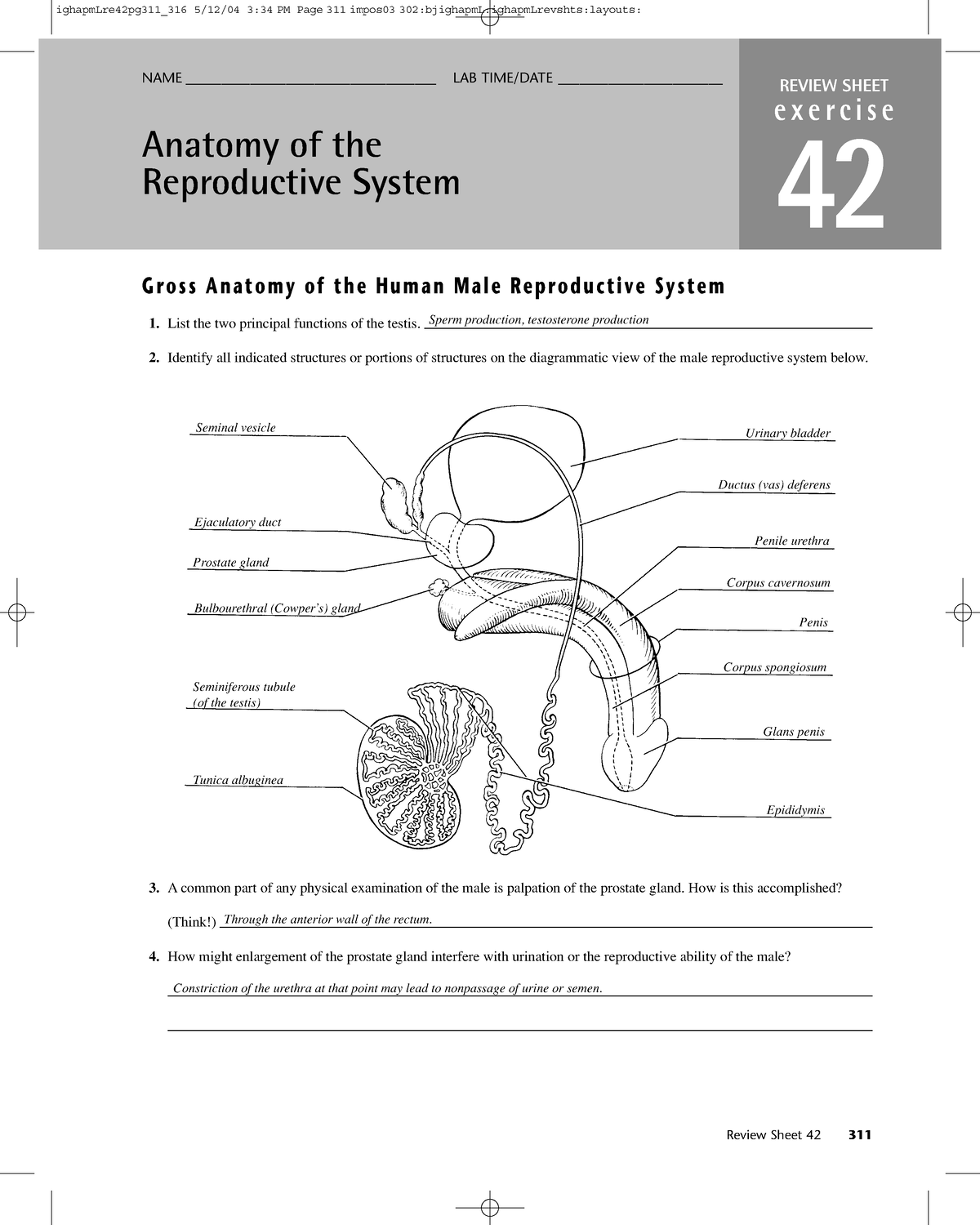 Anatomy Exercise - Notes - NAME ___________________________________ LAB ...