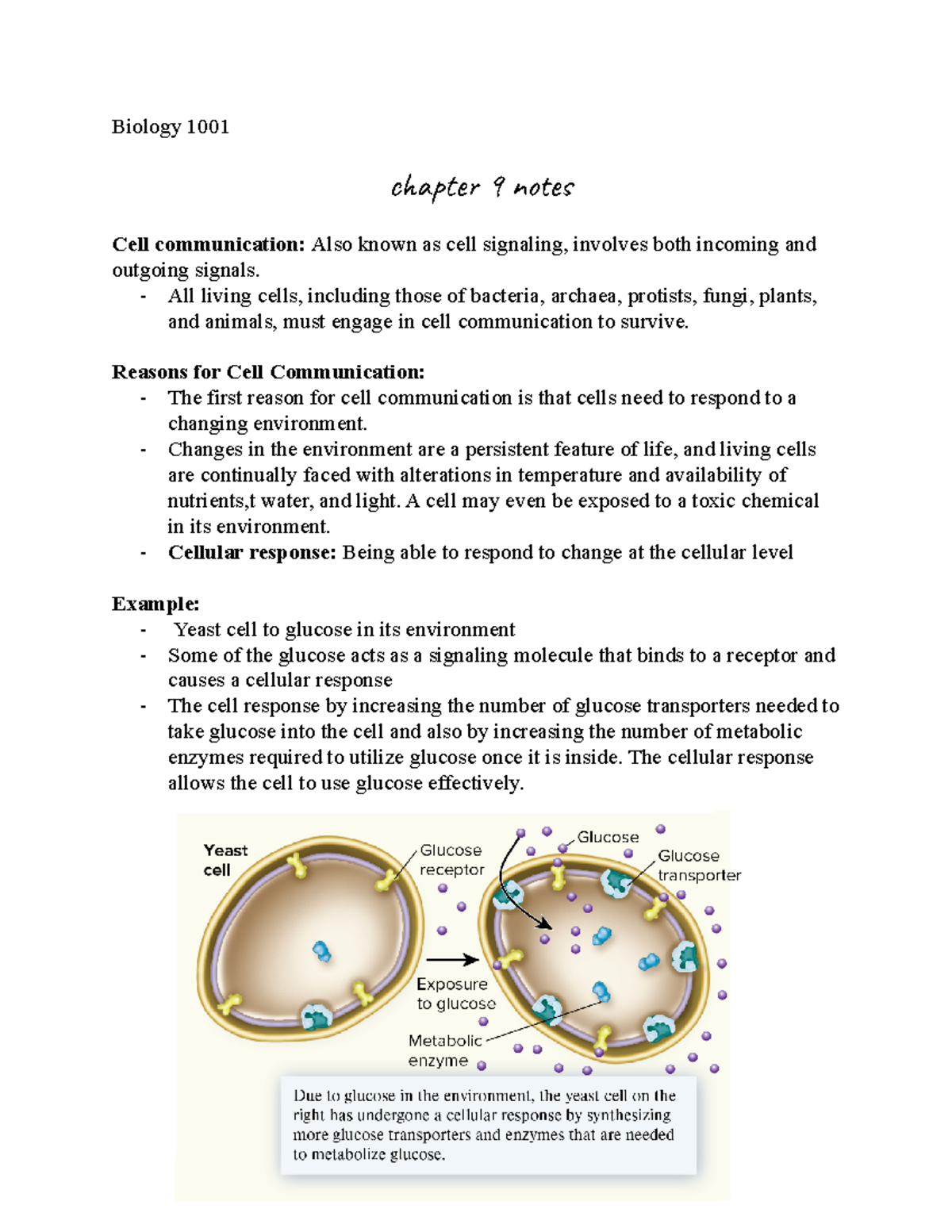 BIO 1001 CH 9 Notes - Dr. Kessler, Fall 2019 - Biology 1001 Cat 9 No ...