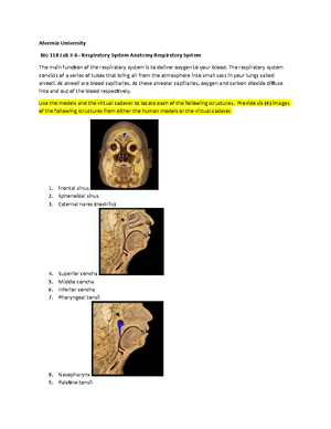 Lab 4 Handout for Anatomy Lab - Lab 4: Heart Physiology Bio 117 Go to ...