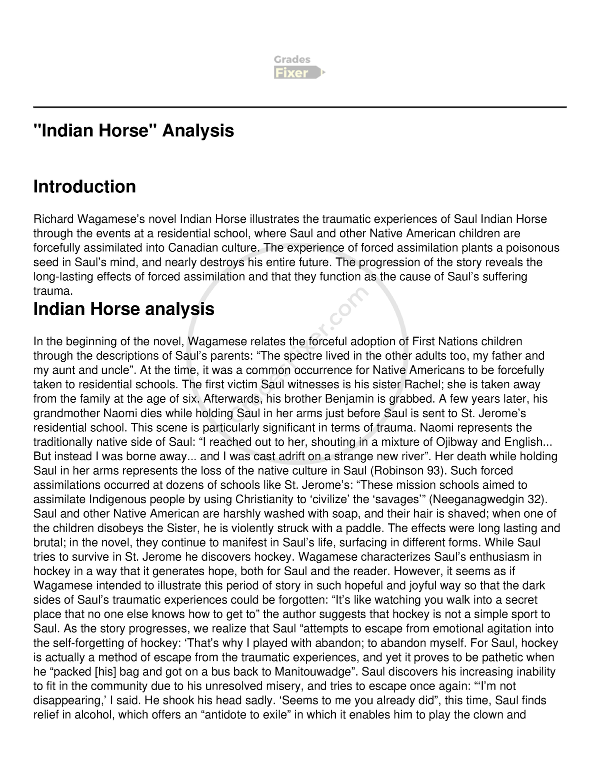 essay indian horse