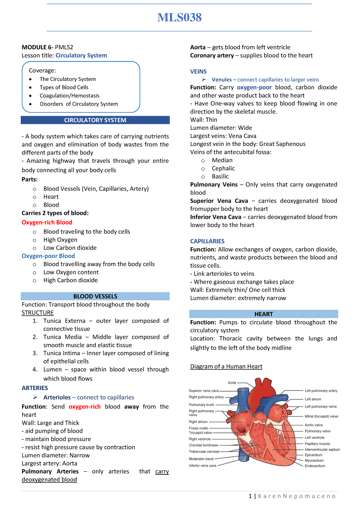 Module 6- Anachem - MODULE 6- PMLS Lesson title: Circulatory System ...