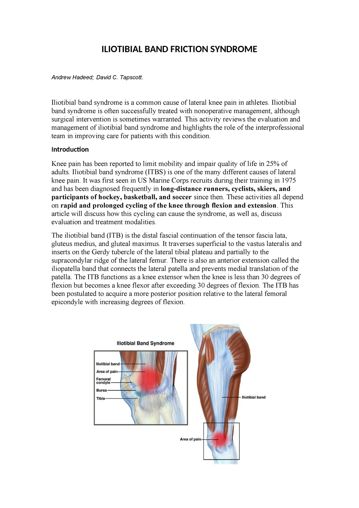 Iliotibial BAND Friction Syndrome - ILIOTIBIAL BAND FRICTION SYNDROME ...