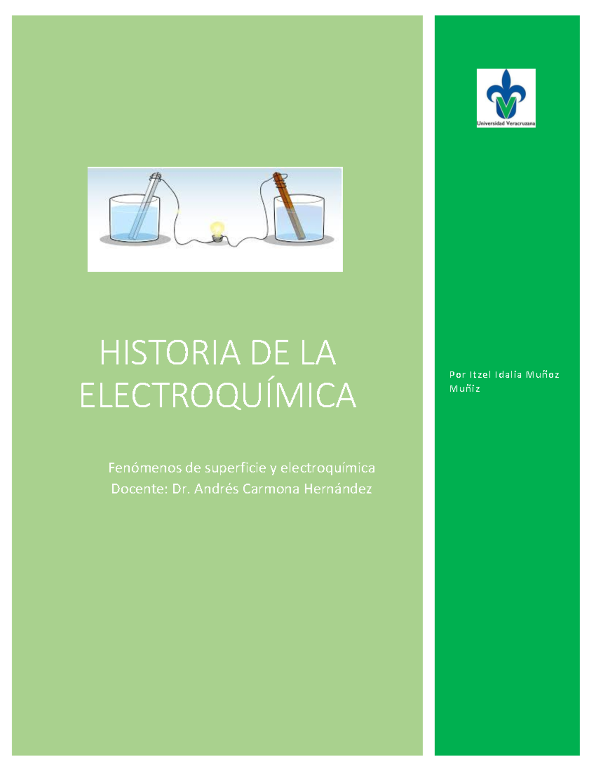 Muñoz Itzel Historia De La Electroquímica - HISTORIA DE LA ...