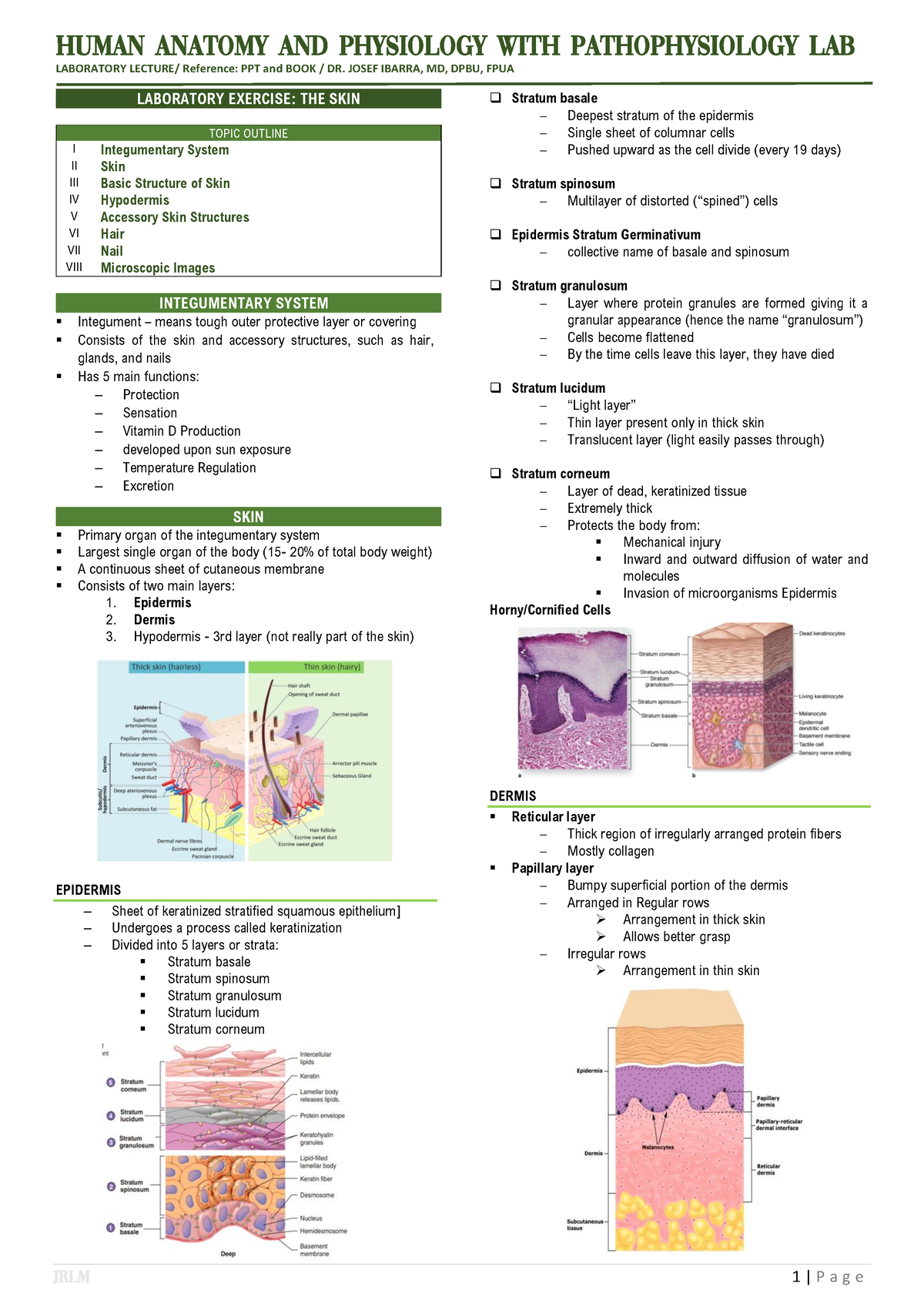 HAPP LAB - THE SKIN - NOTES - Human Anatomy and Physiology WITH ...