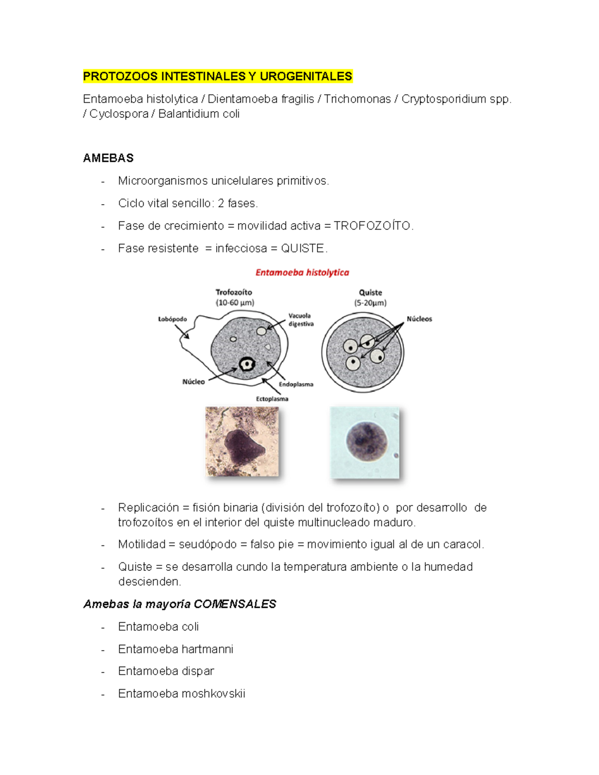 Protozoos Intestinales Y Urogenitales - 2222sdd - Studocu