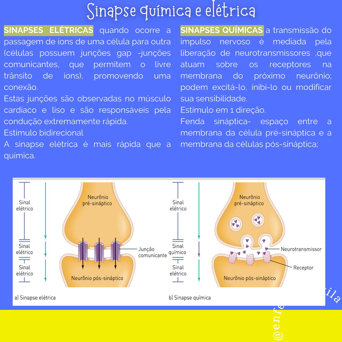 SINAPSEQUIMICAEFISICA e n fe rm _davila SINAPSES ELÉTRICAS quando ocorre a passagem de íons SINAPSEQUIMICAEFISICA e n fe rm _davila SINAPSES ELÉTRICAS quando ocorre a passagem de íons