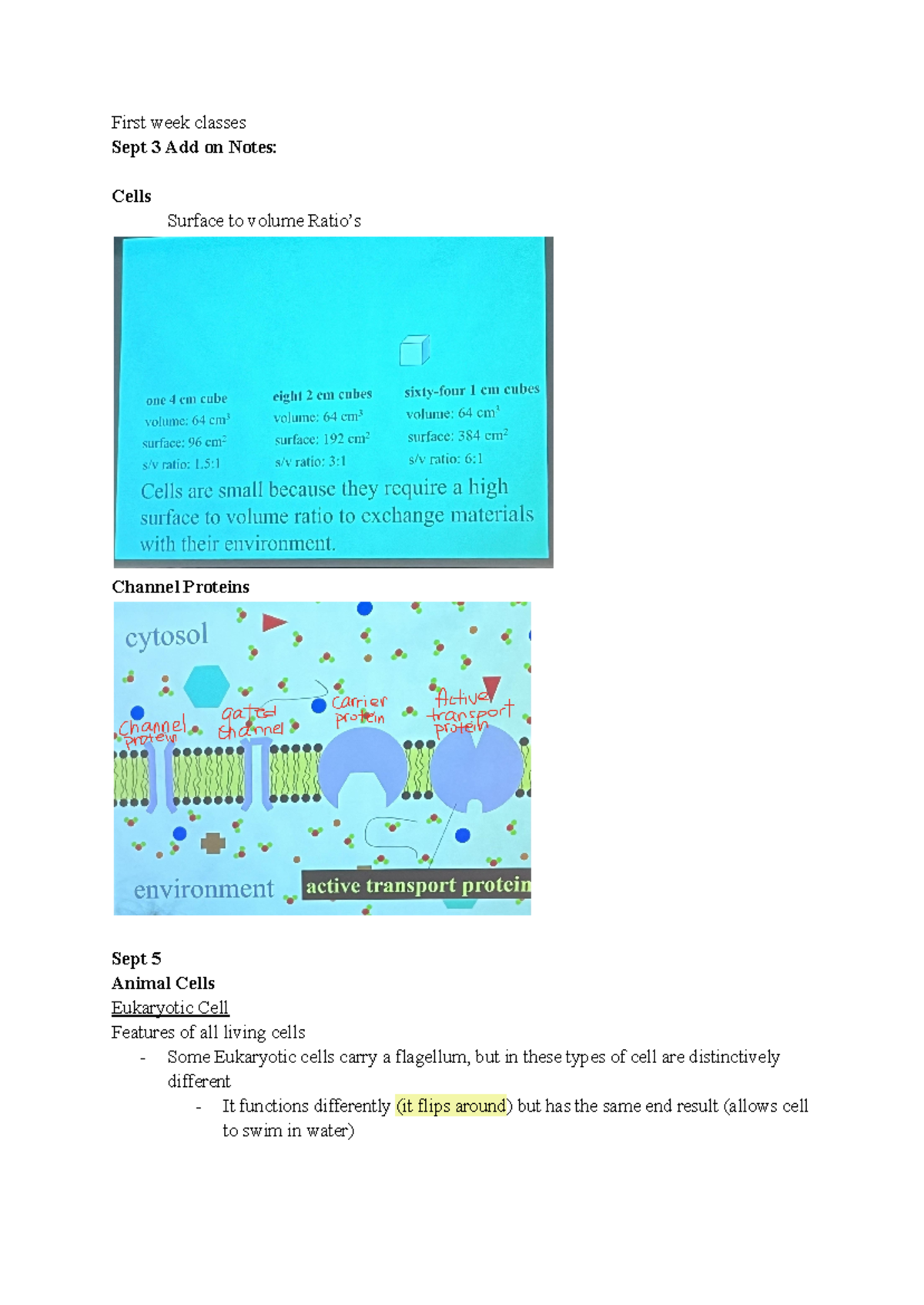 Bio 201 - First semester intro to bio lectures notes with lecture ...