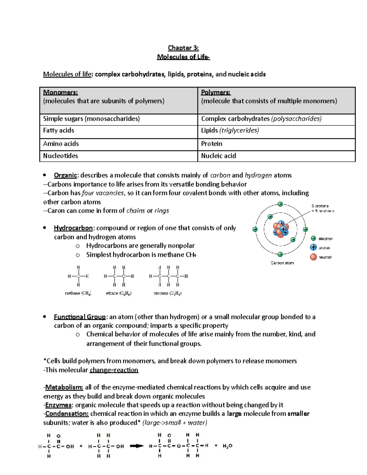 Unit 3 - Monomers, polymers, carbohydrates, lipids, proteins, nucleic ...