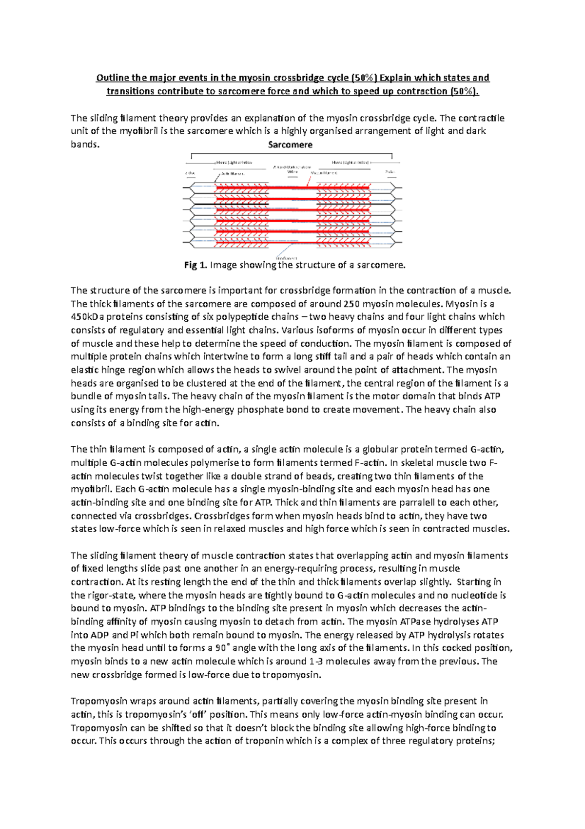 Outline major events of crossbridge formation - Outline the major ...
