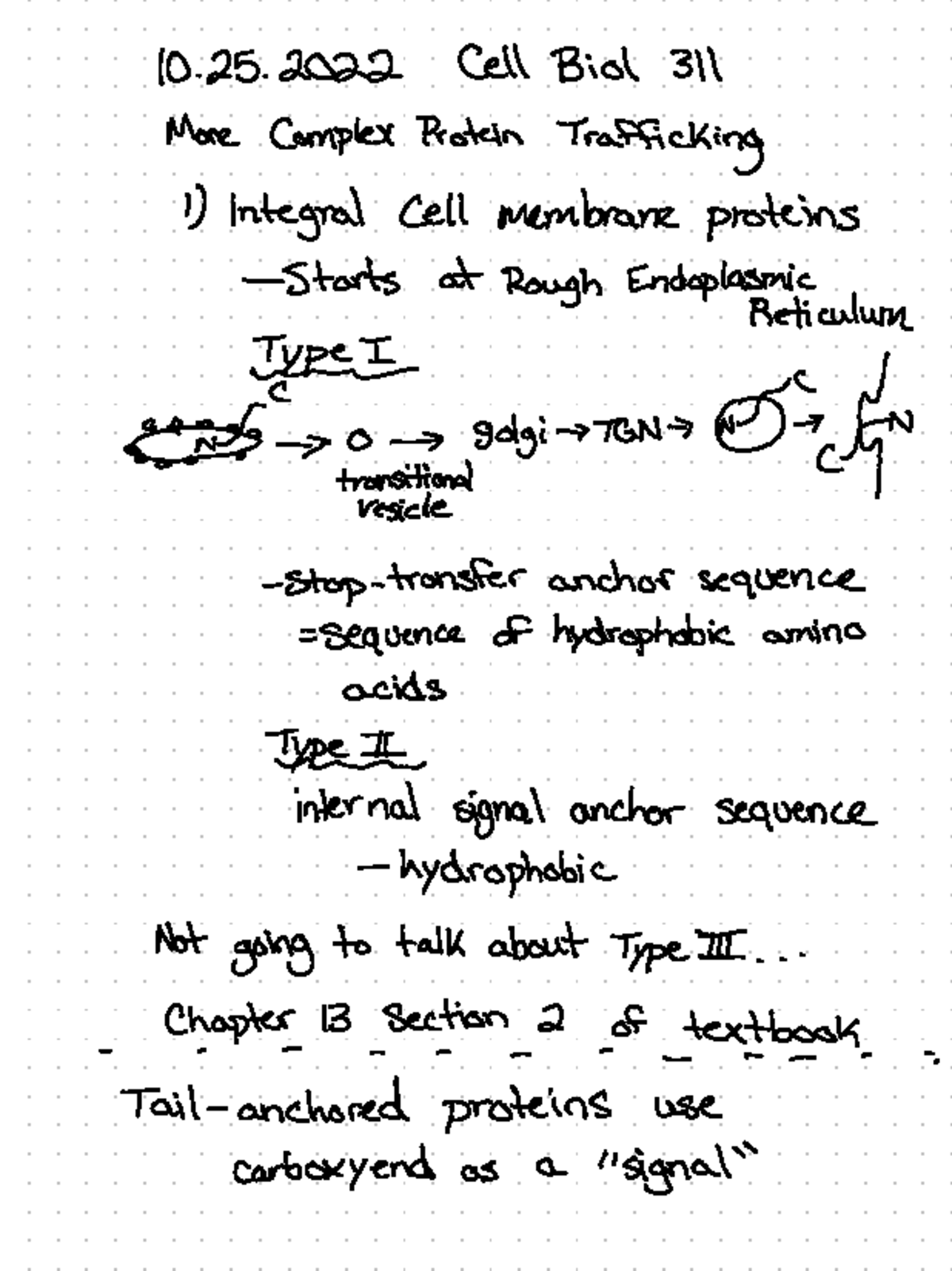10 - Biol 311: Principles of Cell Biology - Robert VanBuskirk lecture ...
