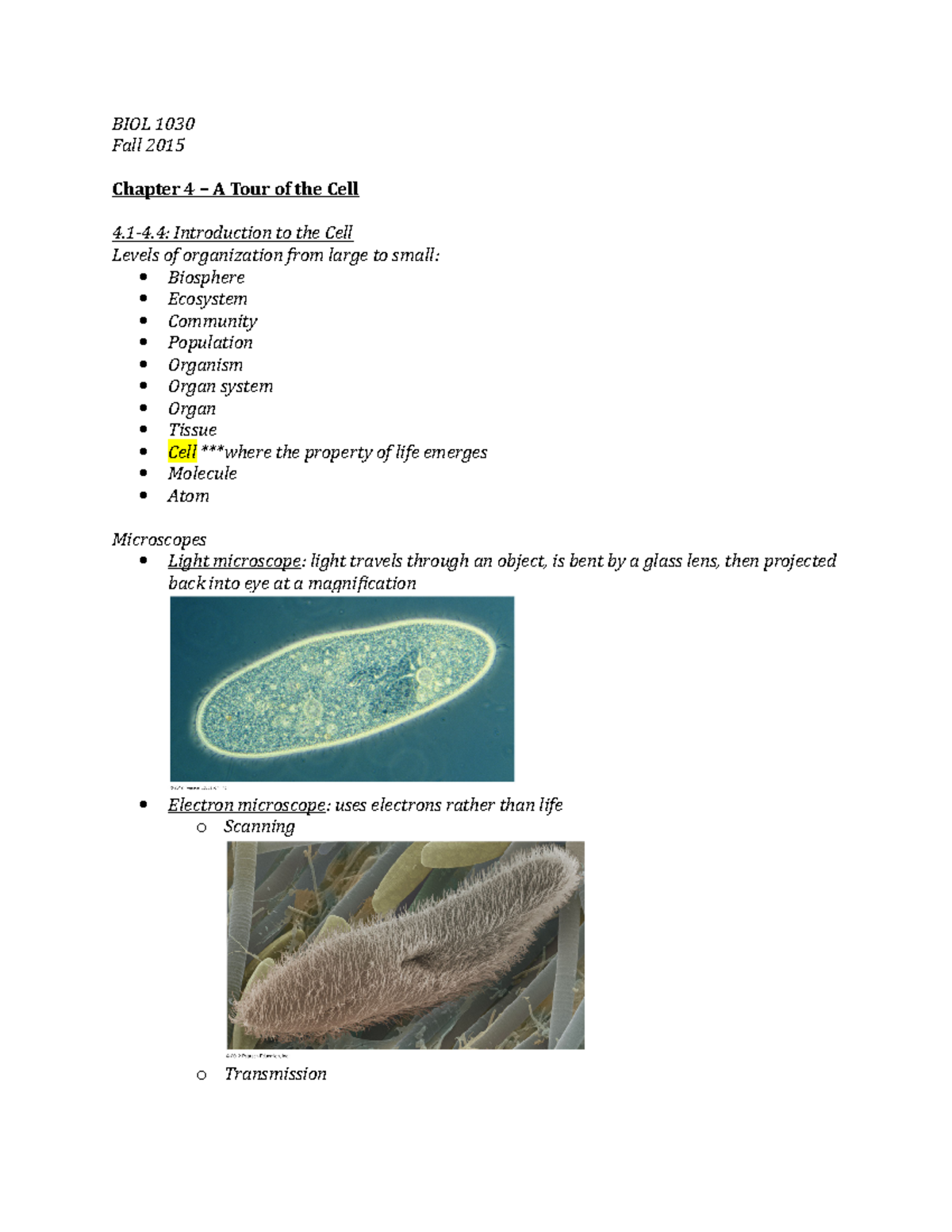 BIOL 103 chapter 4 lecture notes - BIOL 1030 Fall 2015 Chapter 4 – A ...