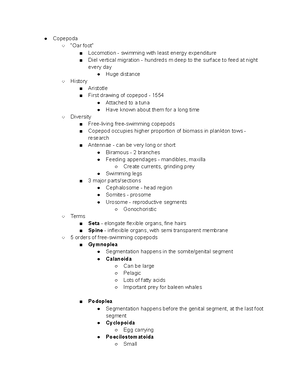 3 22 Nemertea - Invertebrate notes - Midterm 2 Also oral exam, same ...