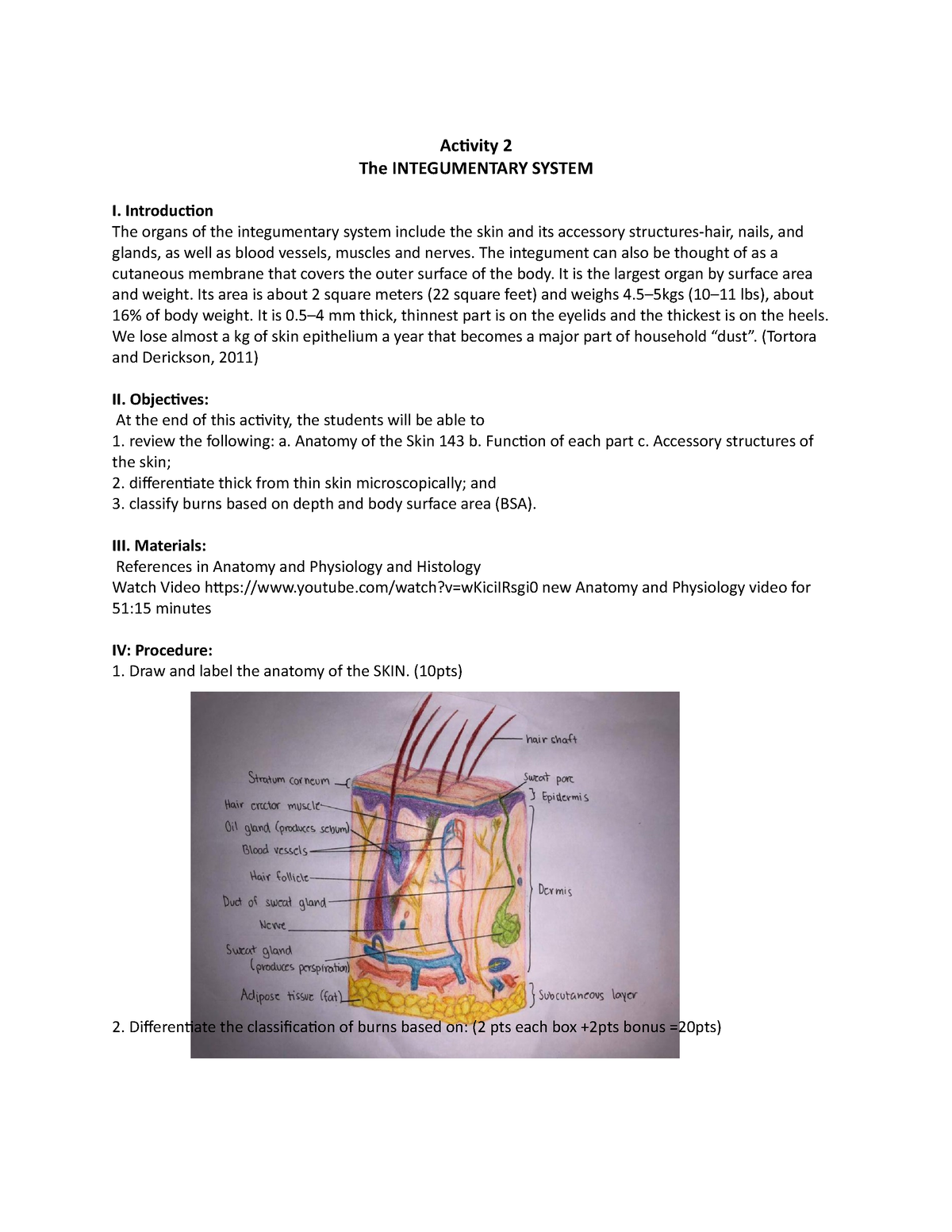 integumentary system project writing a clinical case study