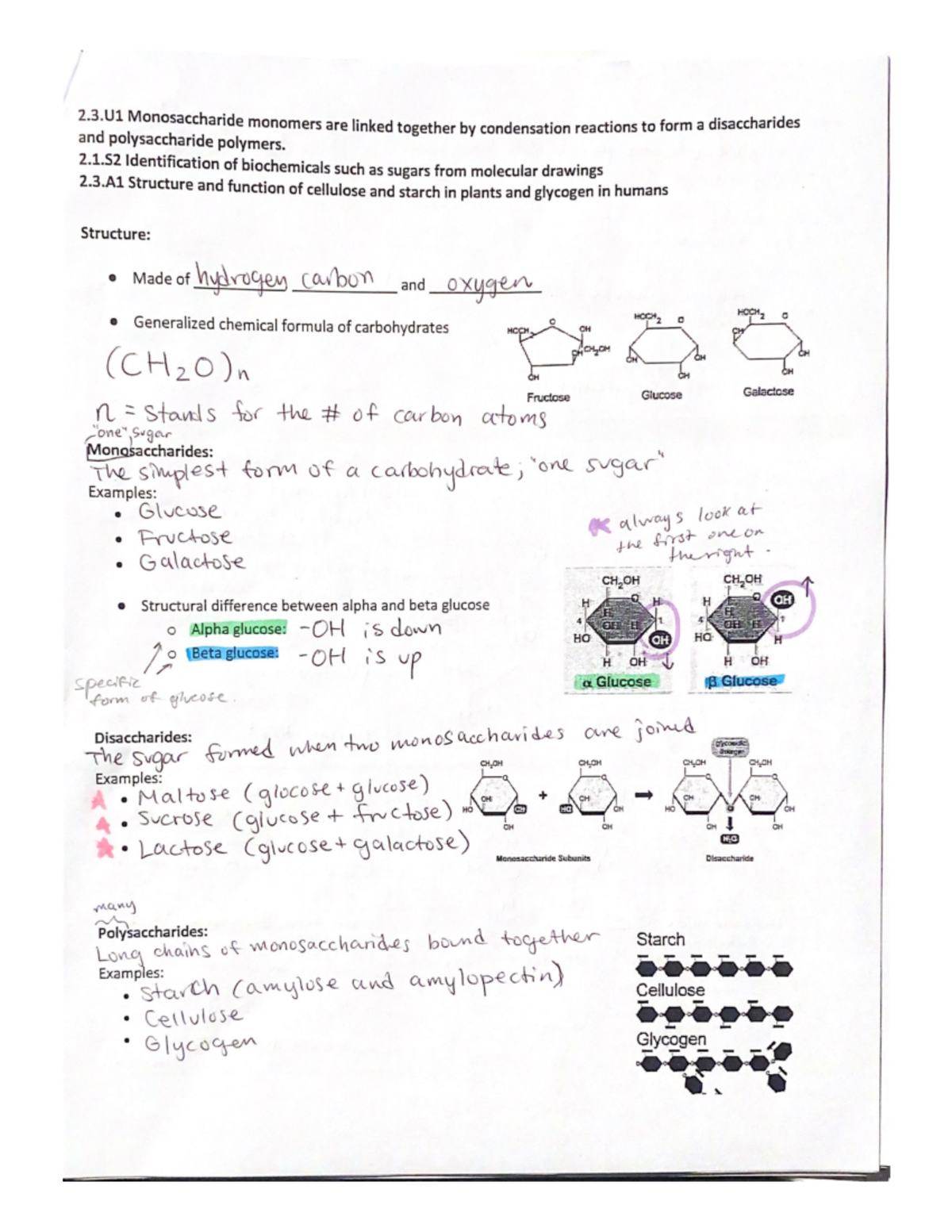 UNIT 10 BIO Packet - Biology SL - Studocu