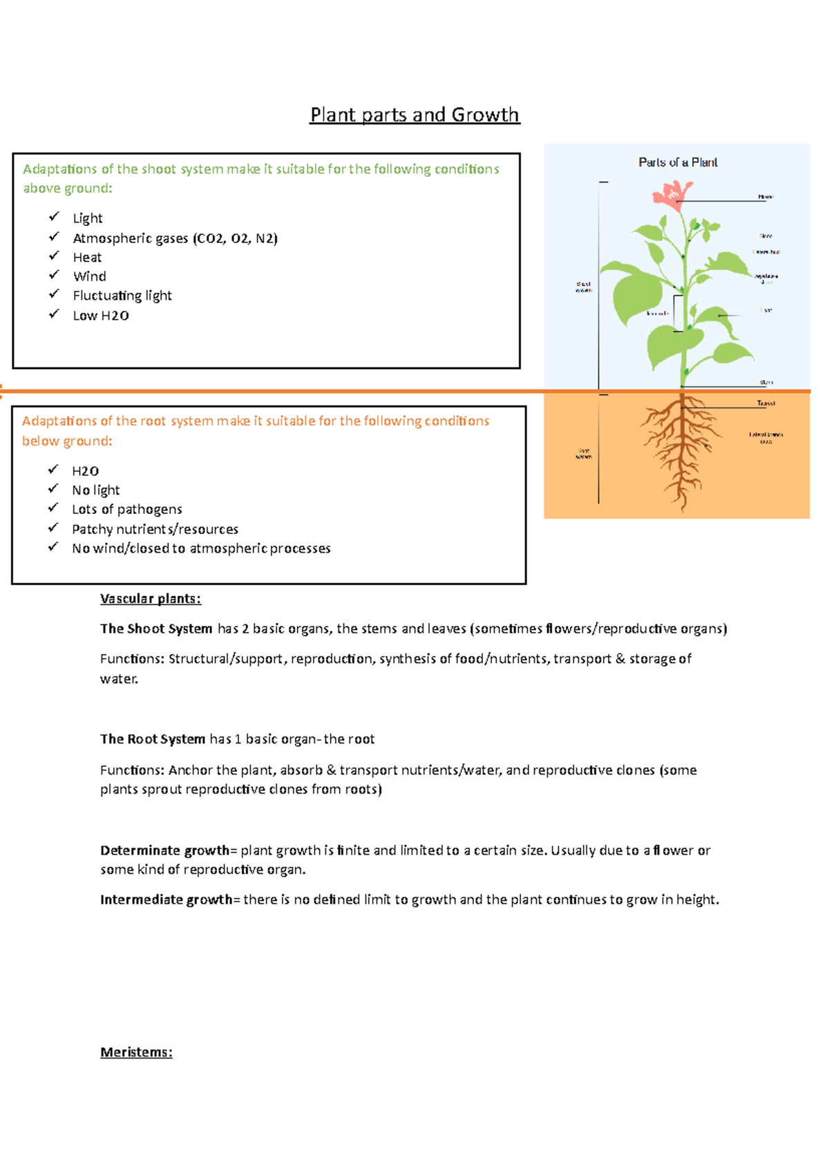 Plant parts and Growth - Plant parts and Growth Vascular plants: The ...