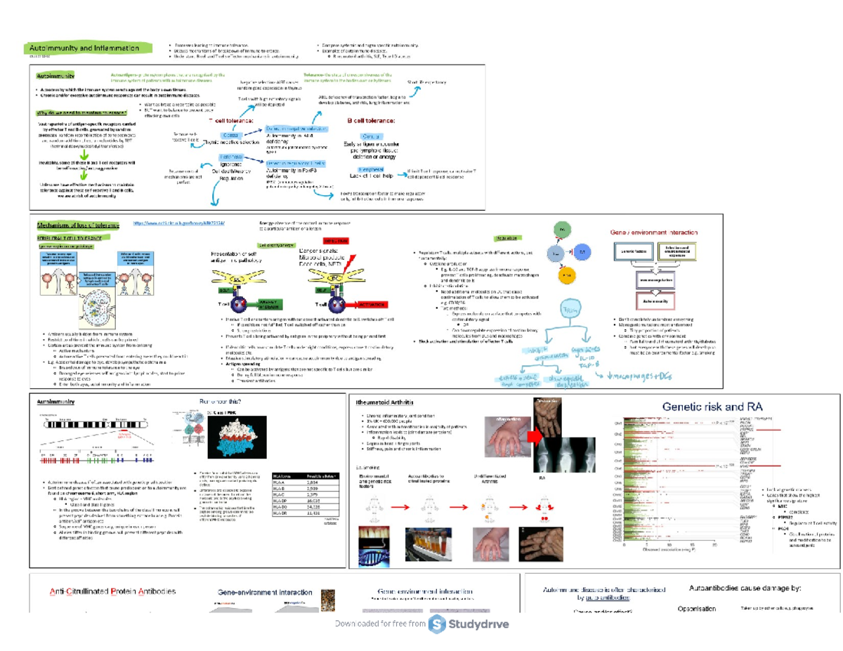 Stud - Genomics And Computational Biology - ͻ,ĂĞŵŽůLJƚŝĐ ĂŶĂĞŵŝĂ ...