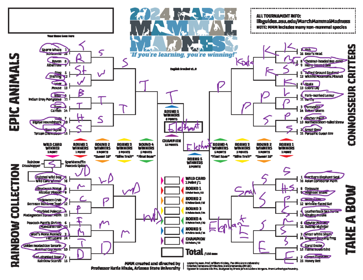 March Mammal Madness 2024 Bracket v1 0 English PDF BIO 181 Studocu