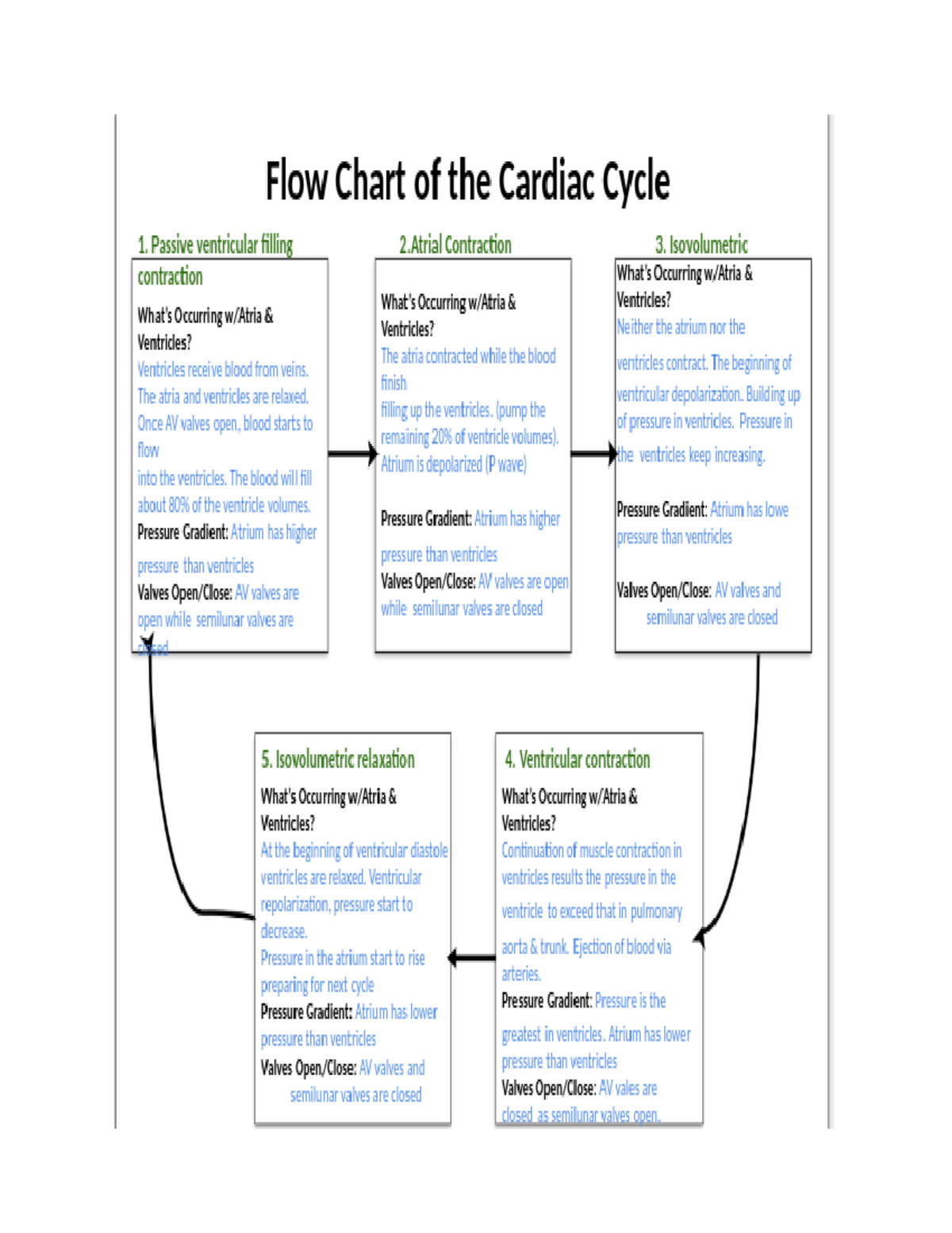 flow-chart-of-the-cardiac-cycle-biol-3455-studocu