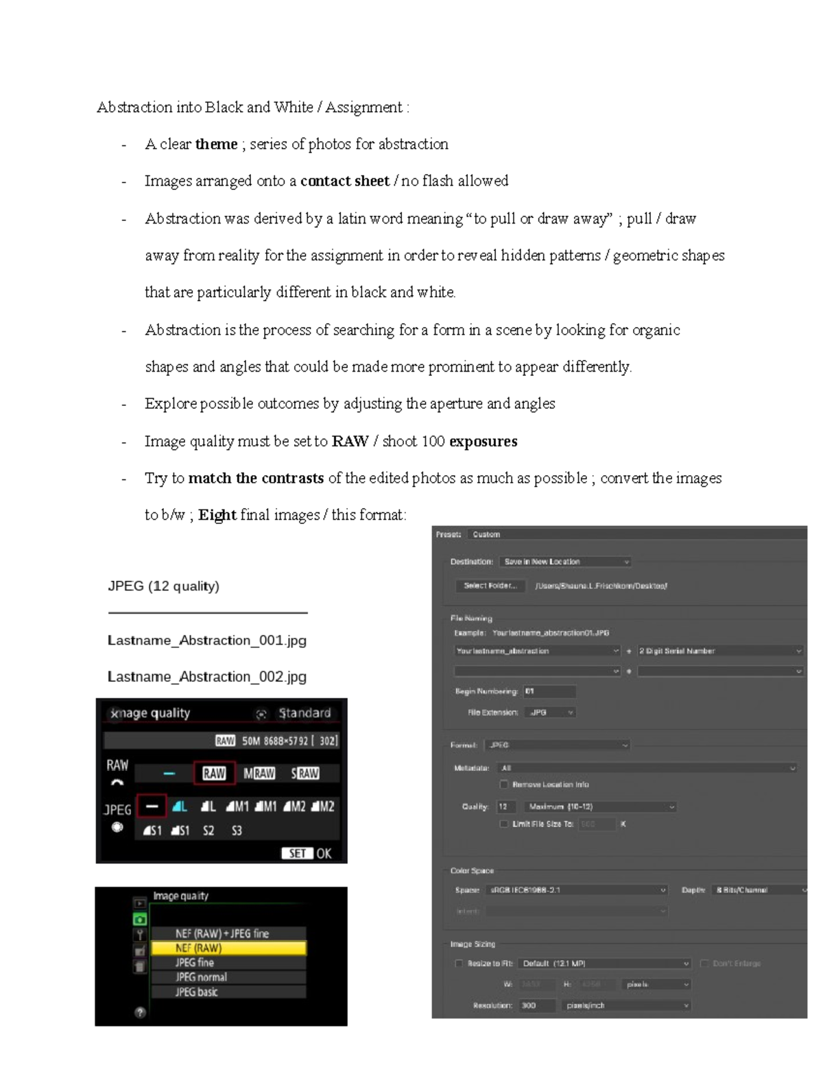 Abstraction Assignment Notes - Abstraction into Black and White ...