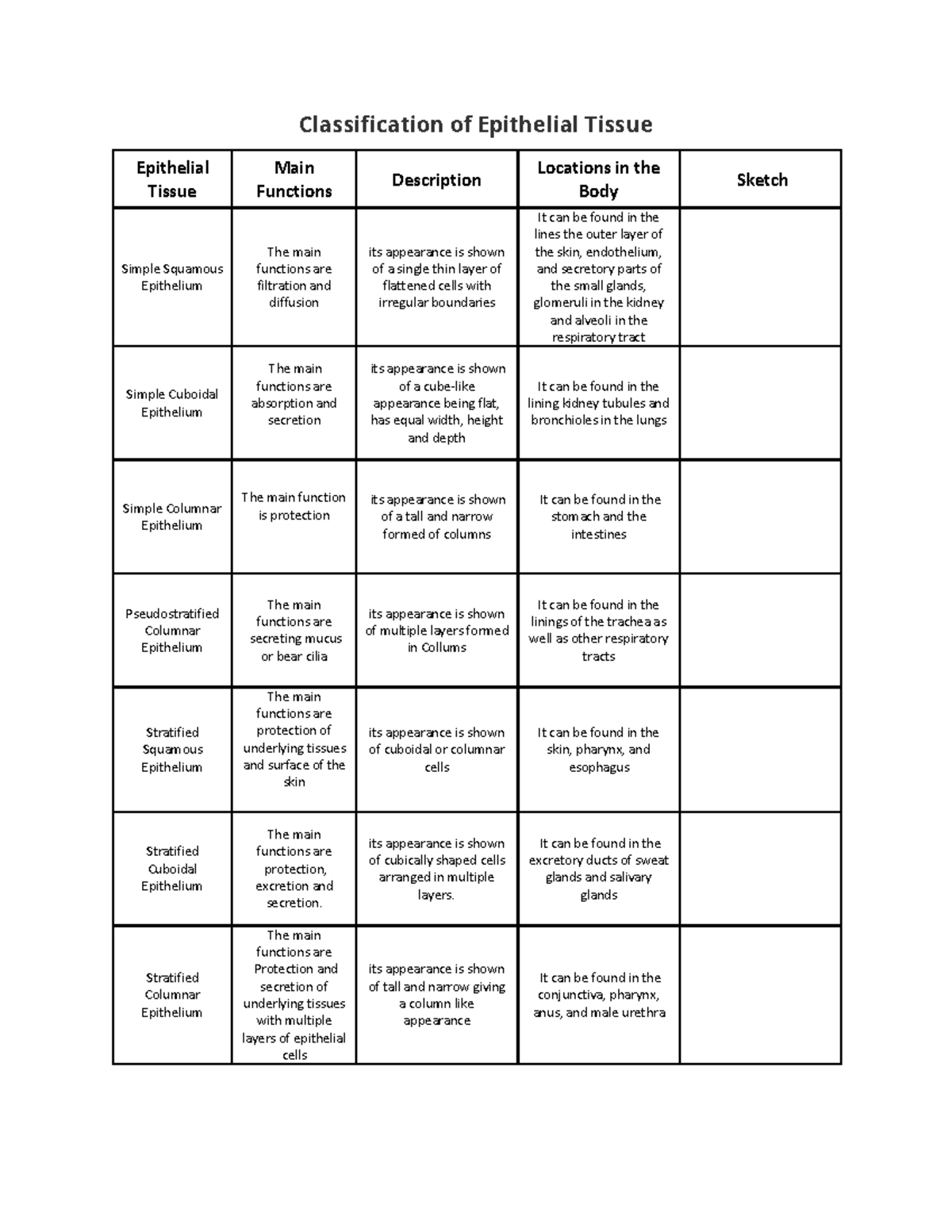 classification-of-epithelial-tissue-classification-of-epithelial