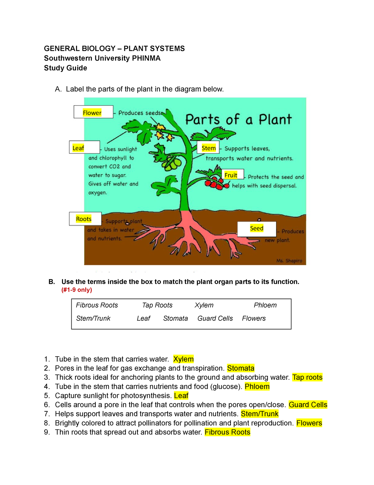 plant-systems-structures-and-part-of-the-plant-plant-reproduction