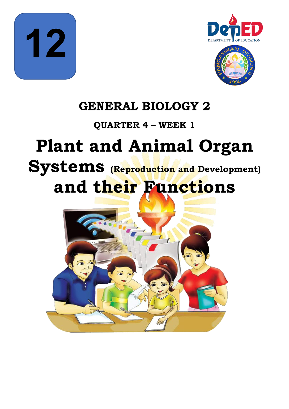 animal organ system