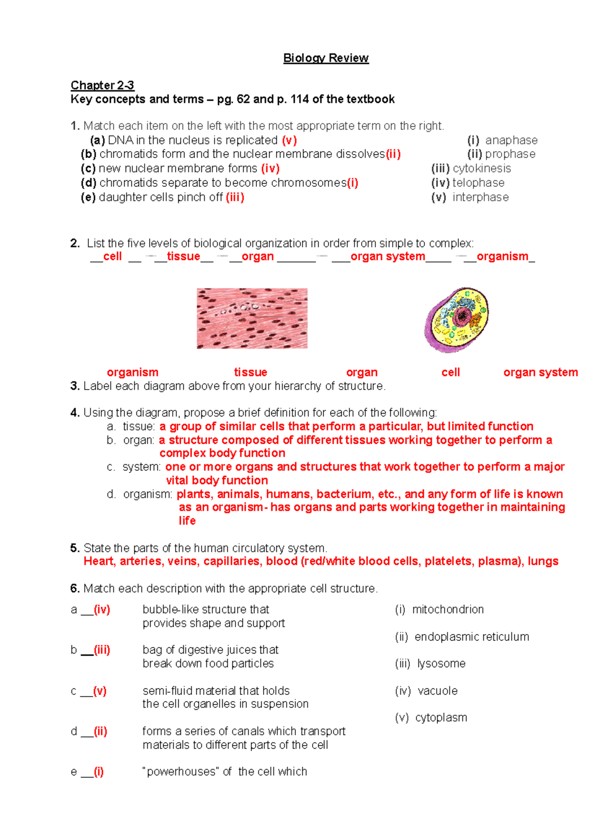 Biology Review 2018 Solutions - Biology Review Chapter 2- Key Concepts ...