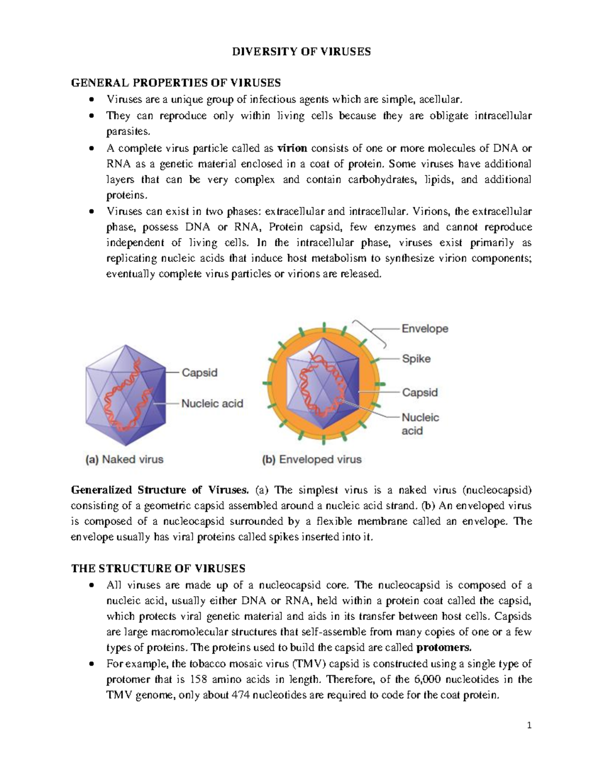 Virology part 1 - Microbiology - DIVERSITY OF VIRUSES GENERAL ...