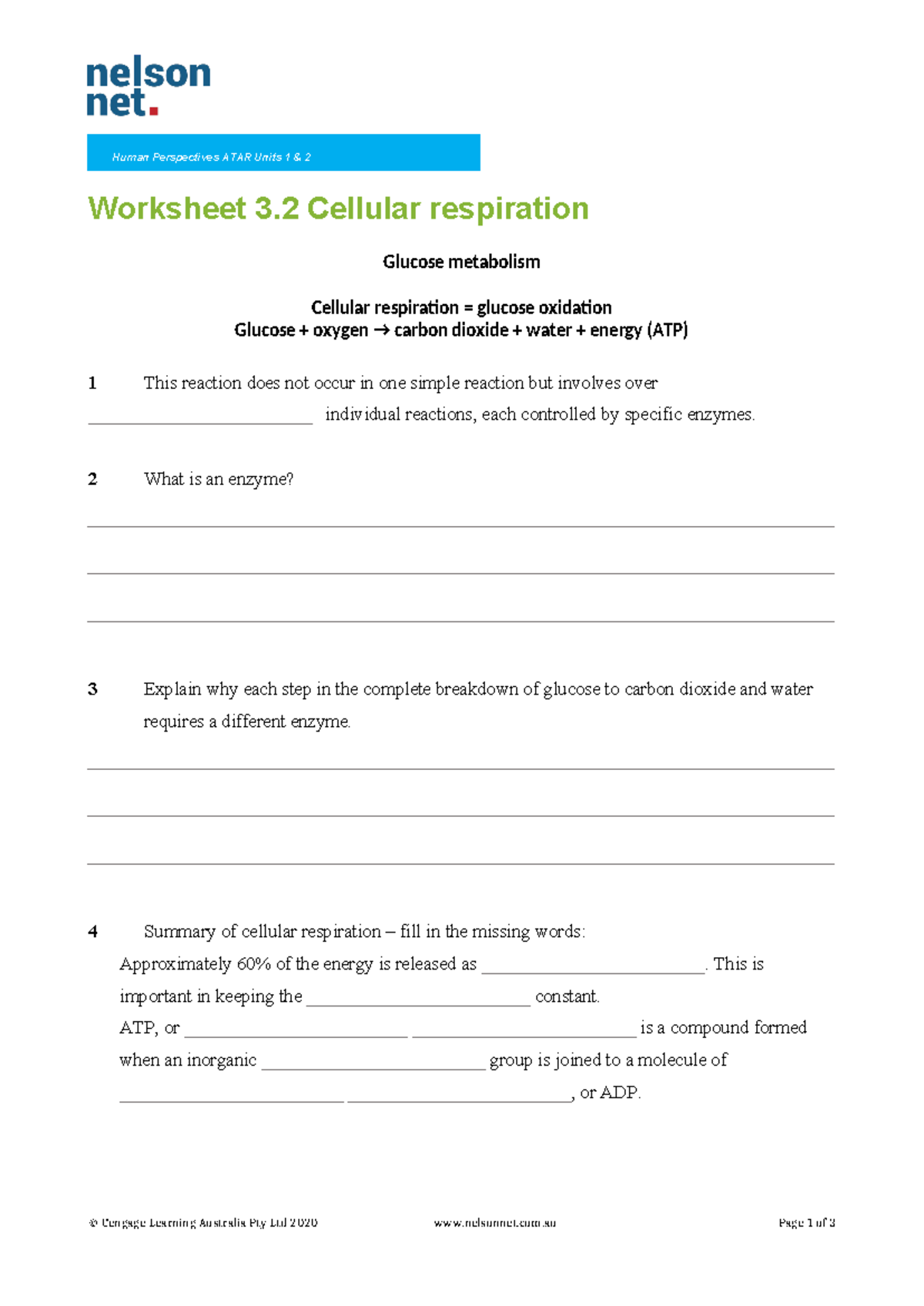Cellular Respiration Human Perspectives ATAR Units 1 & 2 Worksheet 3 Cellular respiration