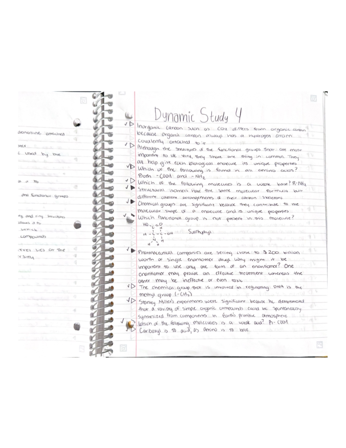 Bypass The Barriers: Your Guide To Dynamic Study Modules - cim7g8l