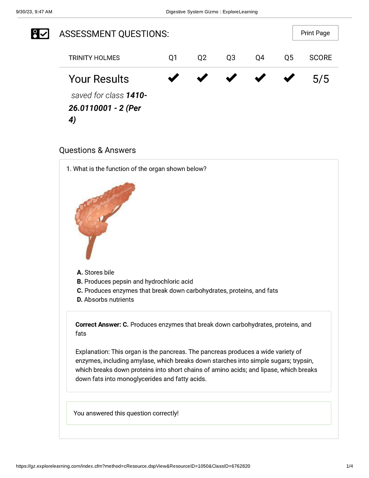 Digestive System Gizmo Explore Learning - ASSESSMENT QUESTIONS: Print ...