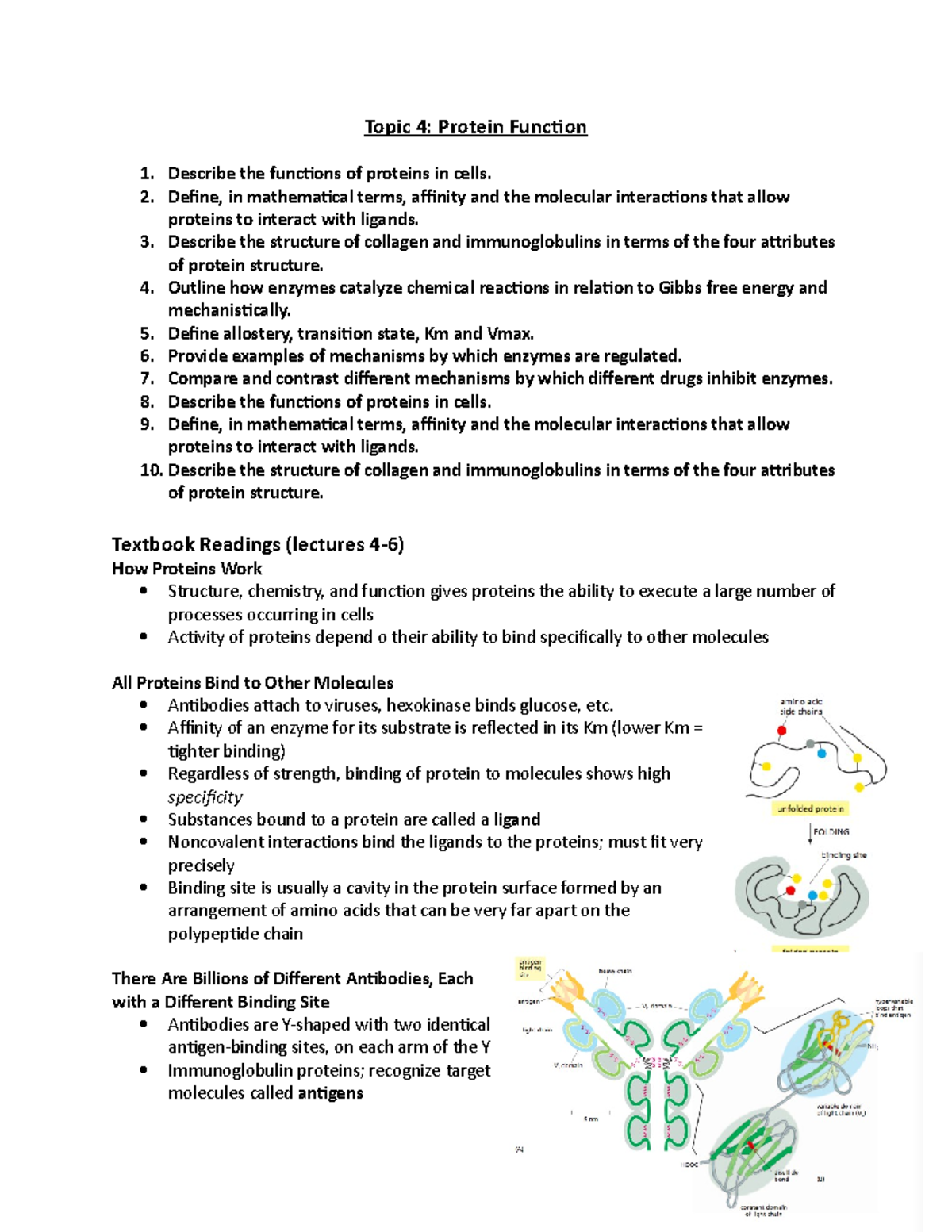 Topic 4a - Protein Function - Topic 4: Protein Function 1. Describe the ...