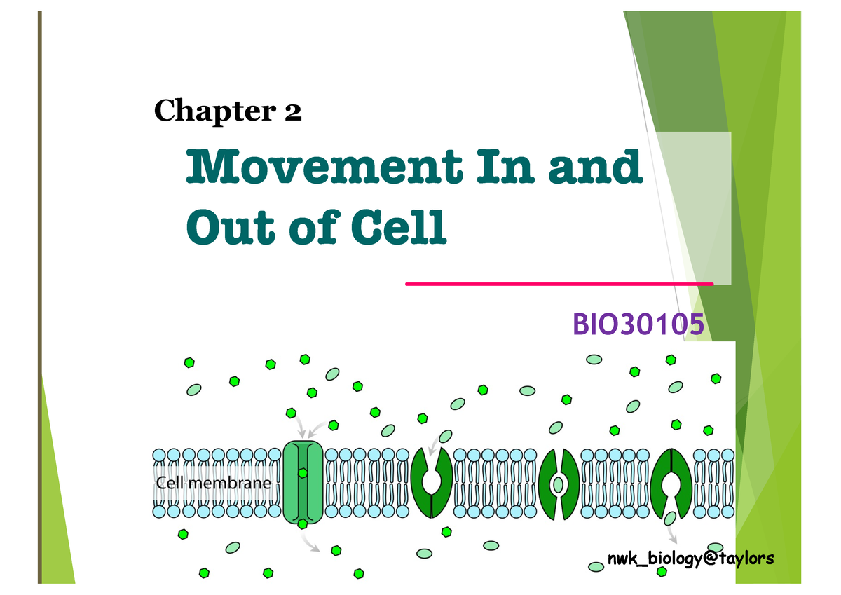 2-the-movement-of-substances-into-and-out-of-cells-movement-in-and