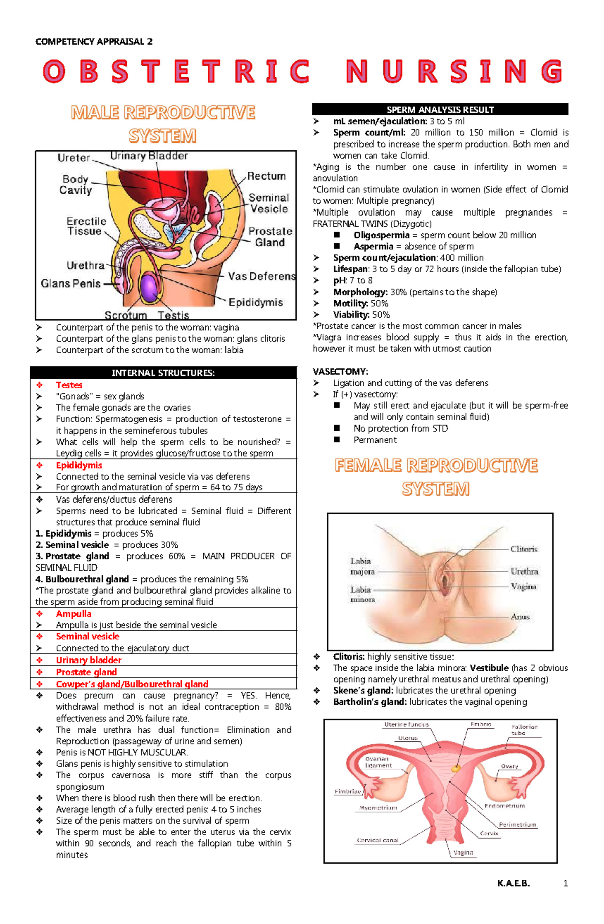 Obstetric- Nursing - Counterpart of the penis to the woman: vagina ...