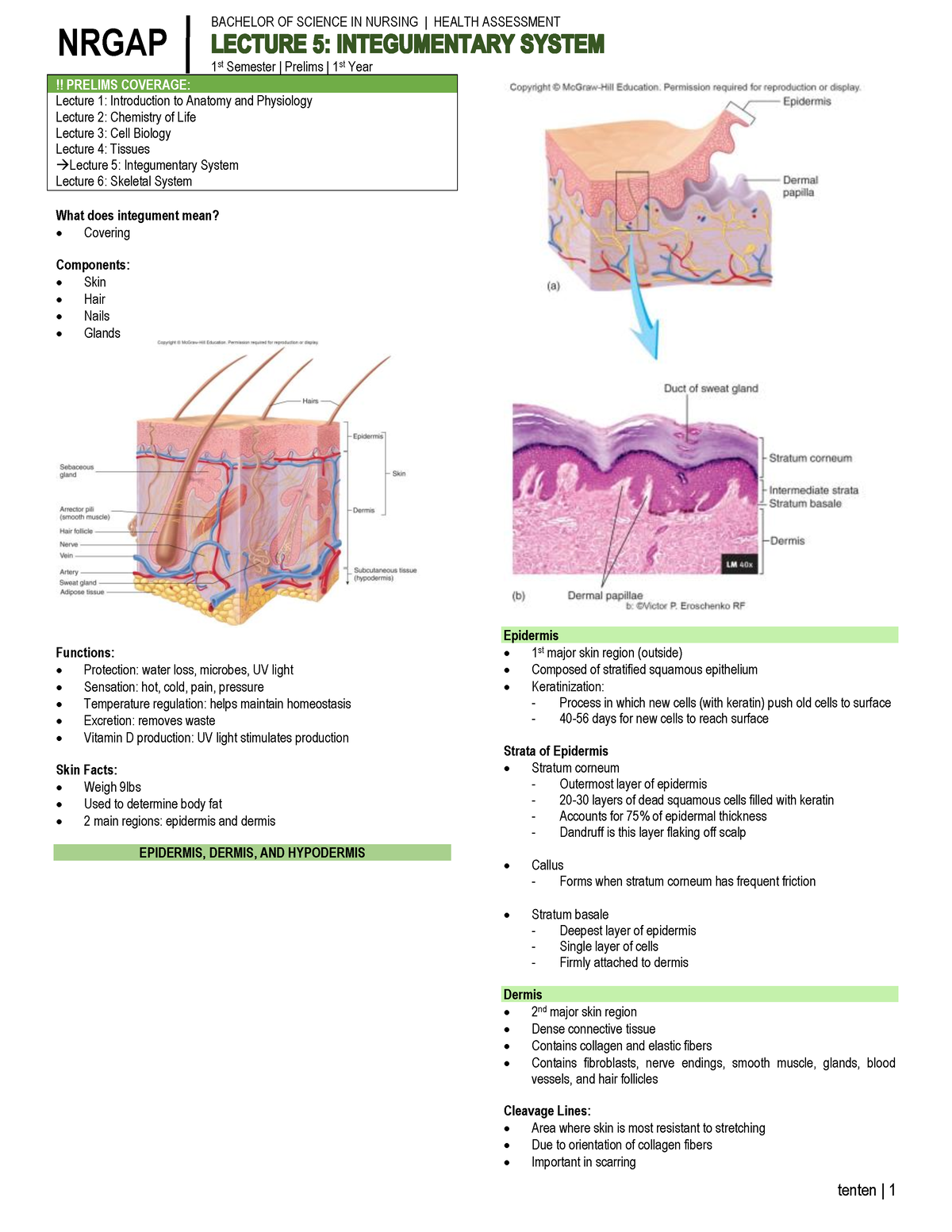 Anatomy and Physiology - Lecture 5 - BACHELOR OF SCIENCE IN NURSING ...