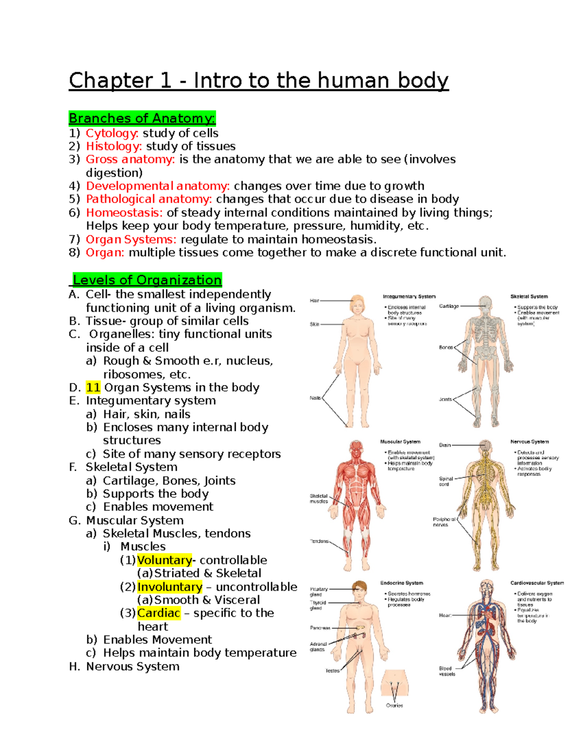 Bio 220-02 Notes Last Editing - Chapter 1 - Intro To The Human Body ...