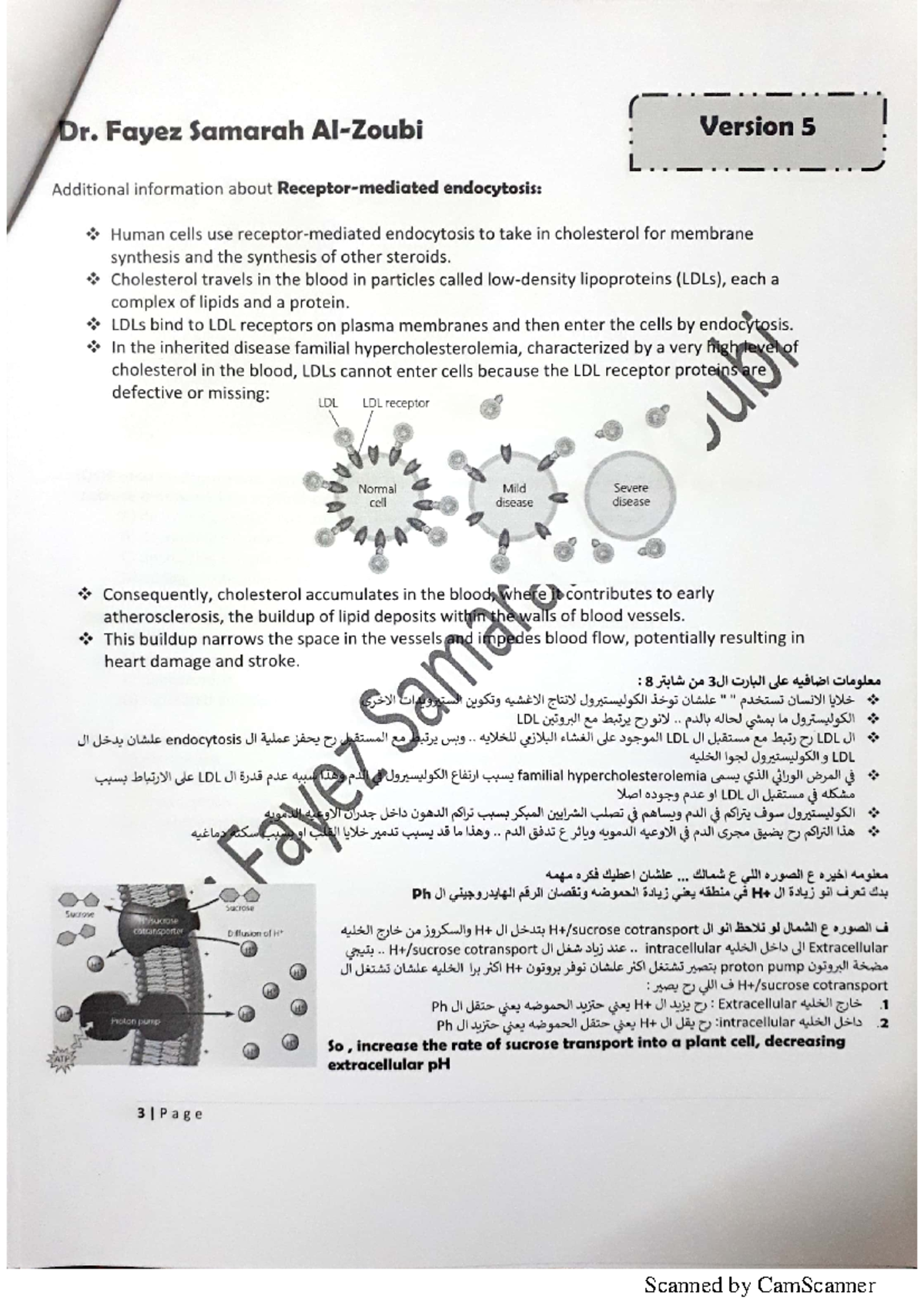 Chapter 8 Part 3 - Biology Test Bank - Studocu