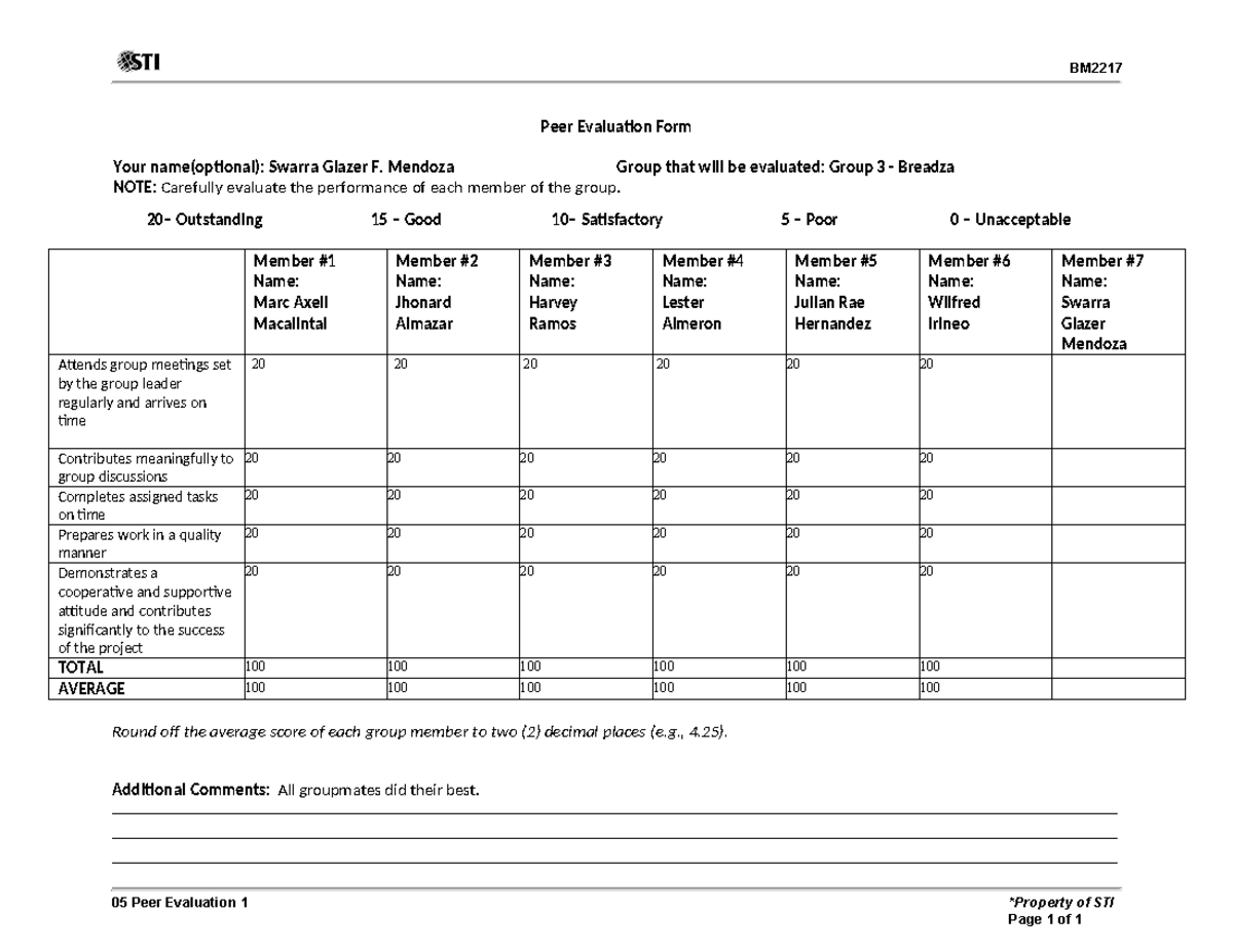 11 Peer Evaluation Mendoza - BM Peer Evaluation Form Your name(optional ...