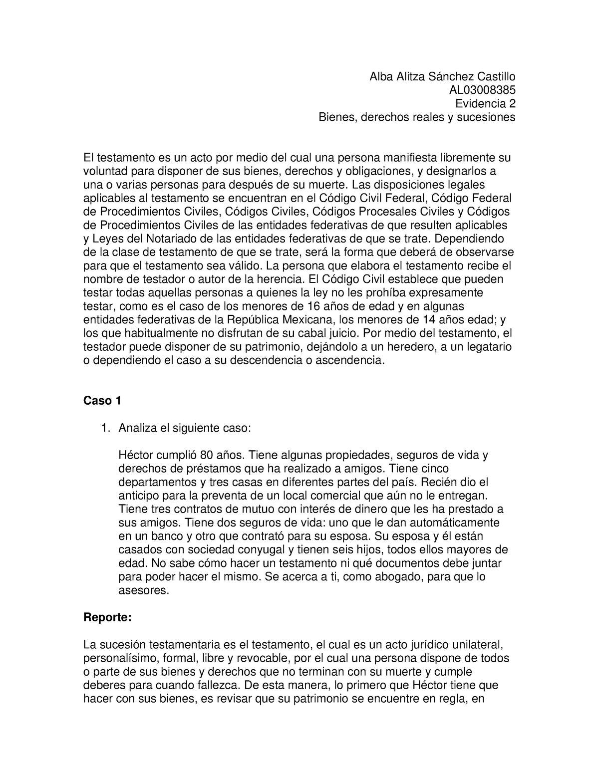 Evidencia 2 - Alba Alitza Sánchez Castillo AL Evidencia 2 Bienes ...