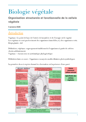Cellules eucaryote - Fiche - Organisme Unicellulaire − Protistes ...