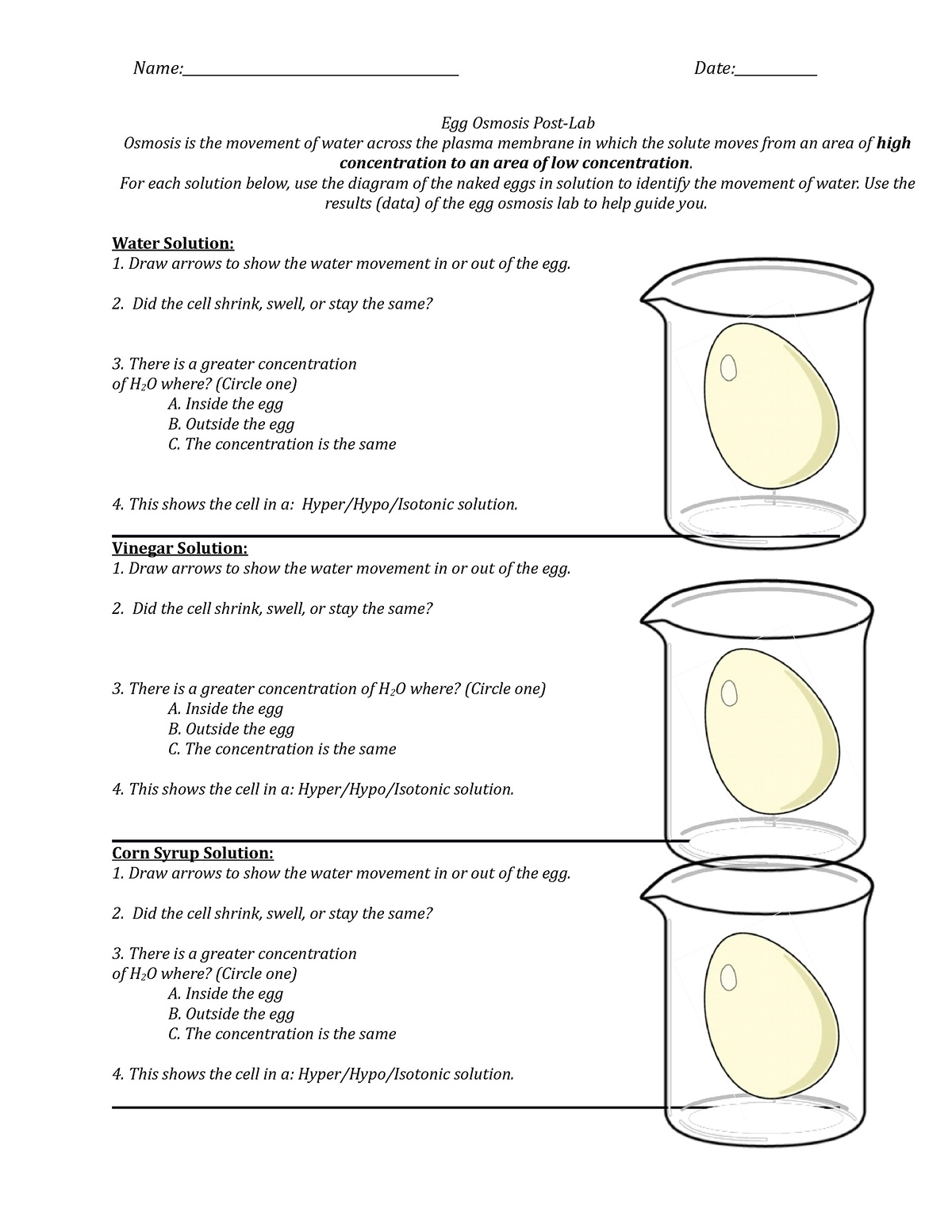 egg osmosis diagram