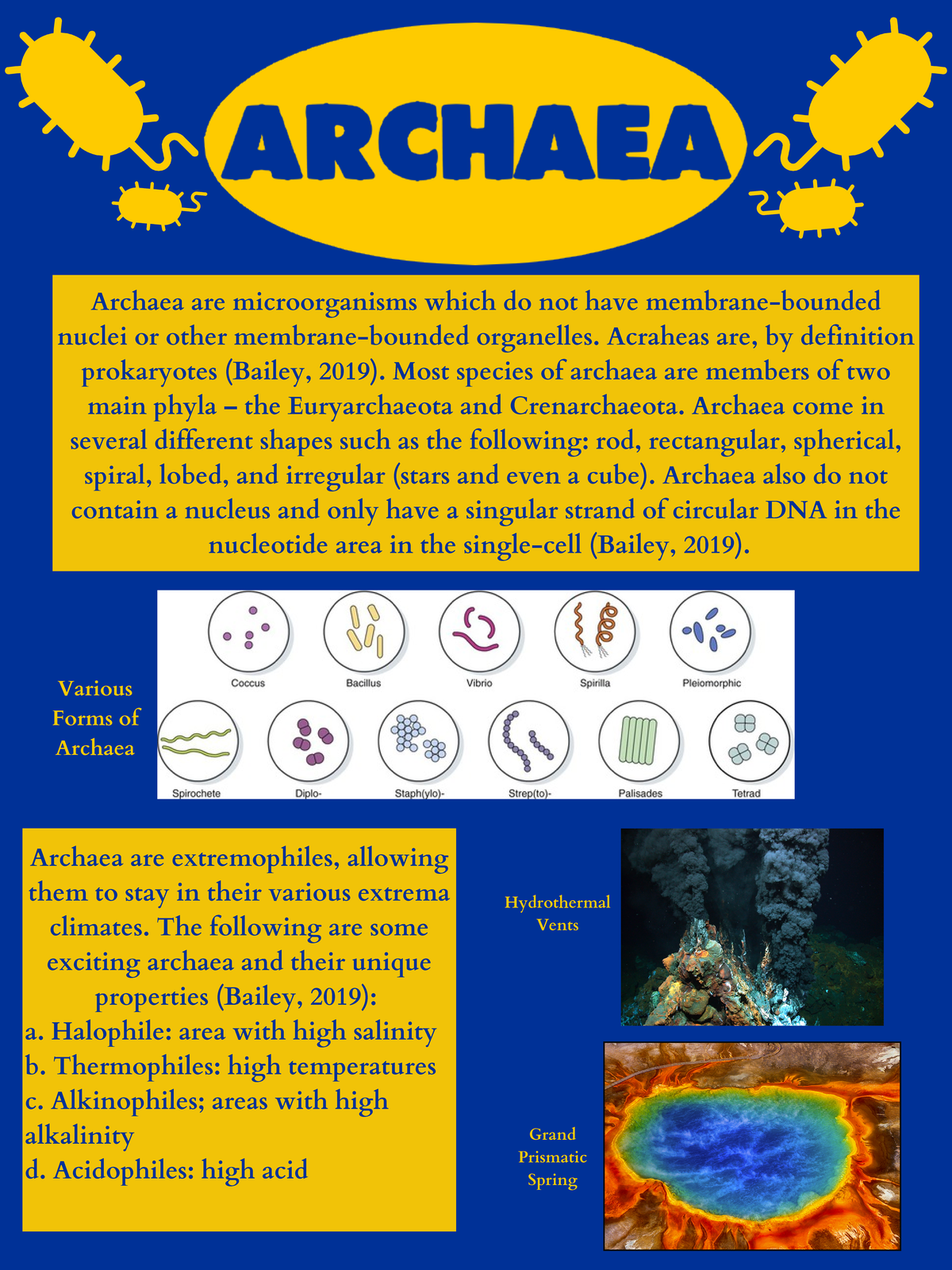 Archaea Acraheas are, by definition prokaryotes (Bailey, 2019). Most