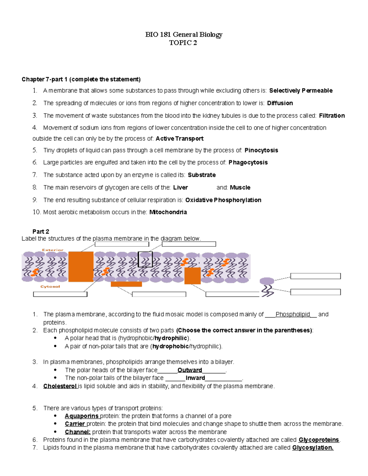 WEEK 4-HW- CH 7 Worksheet - BIO 181 General Biology TOPIC 2 Chapter 7-part 1 (complete The - Studocu