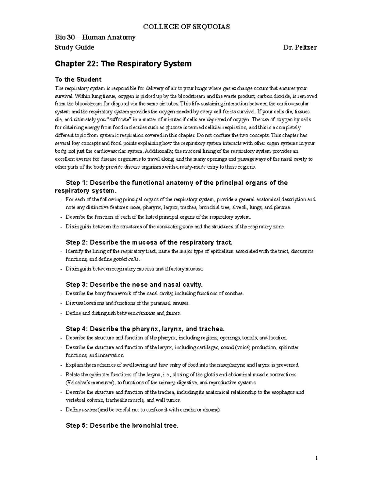 Ch. 22 Study Guide - The Respiratory System Dr. Peltzer - COLLEGE OF ...