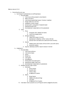 4 Tree ID with a Dichotomous Key Worksheet - Tree ID with a Dichotomous ...