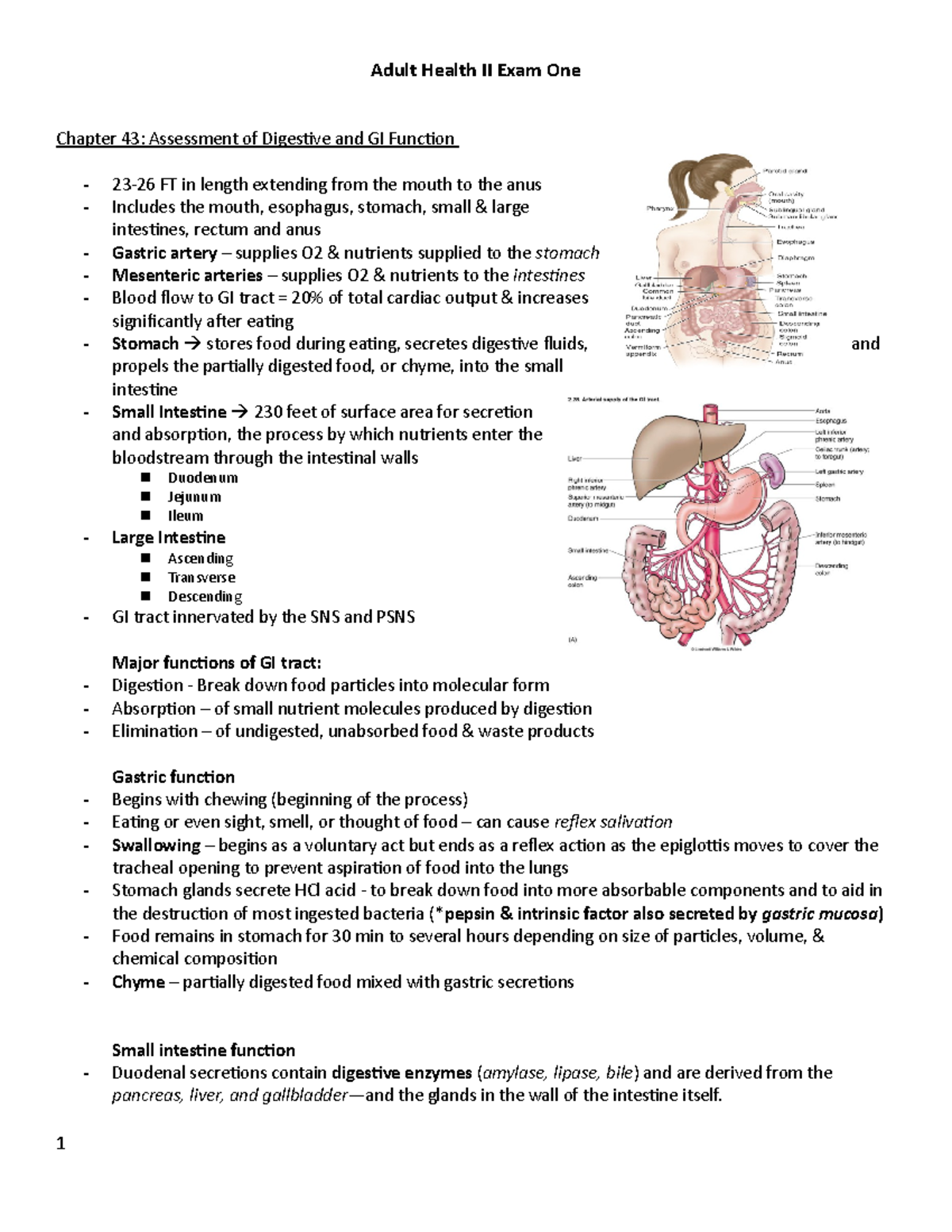 Adult Health II Exam One - Adult Health II Exam One Chapter 43 ...