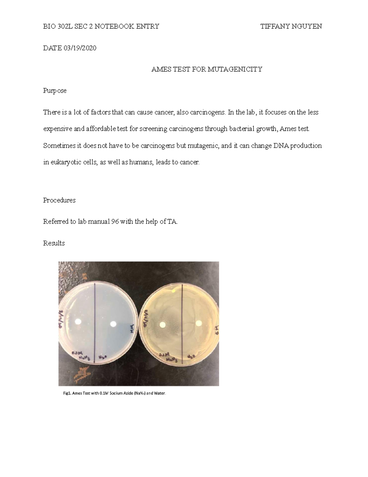 Ames tests Ames test assginment DATE 03/19/ AMES TEST FOR