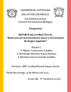 Normas NFPA - NFPA Nom 52 y nom 87 - Normas NFPA (Asociación Nacional ...